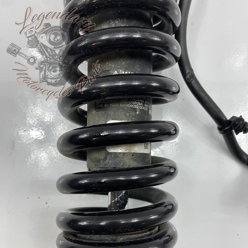 Shock Absorber OEM 54000112