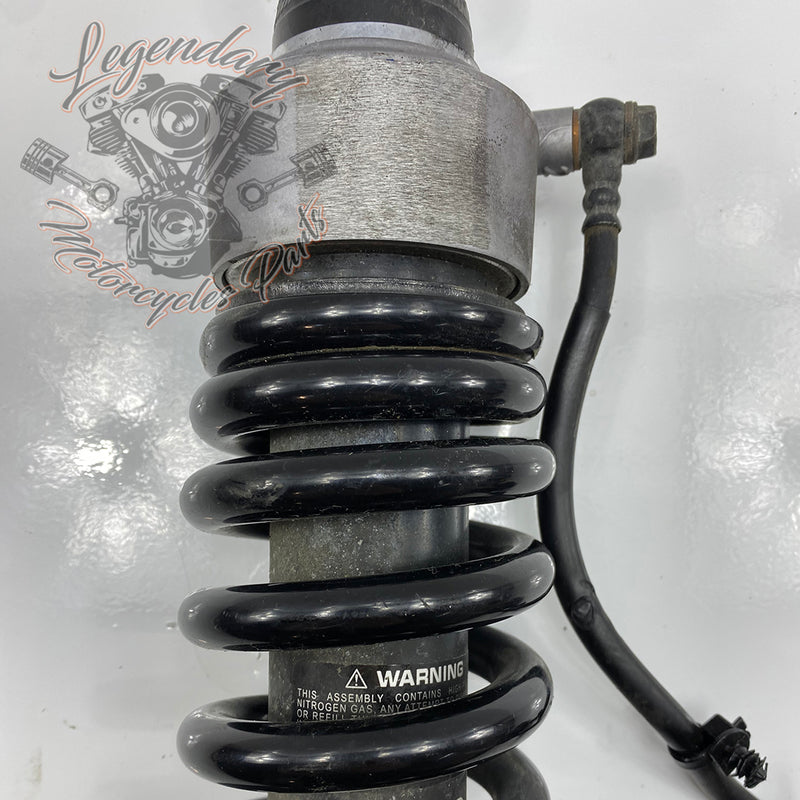 Shock Absorber OEM 54000112