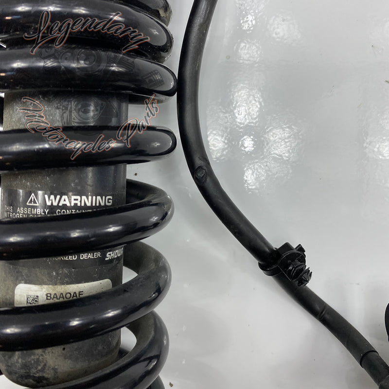 Shock Absorber OEM 54000112