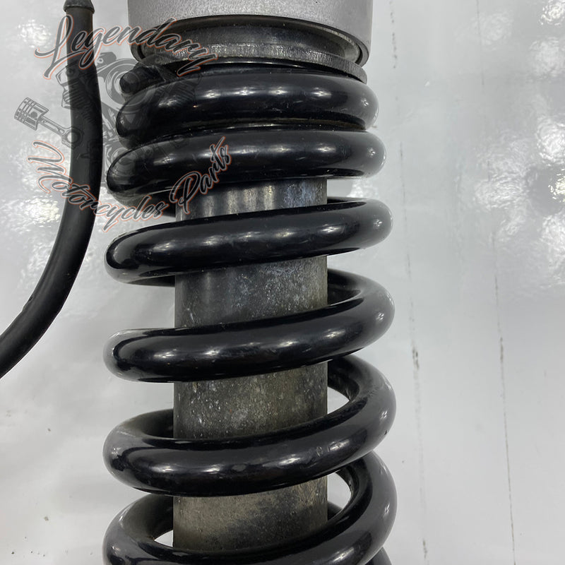 Shock Absorber OEM 54000112