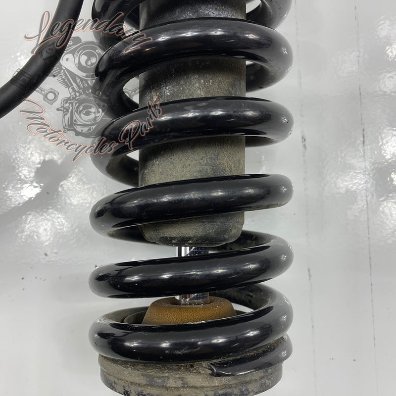 Shock Absorber OEM 54000112