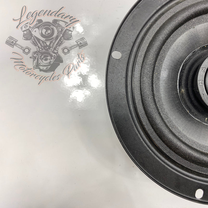 Speaker OEM 76000096