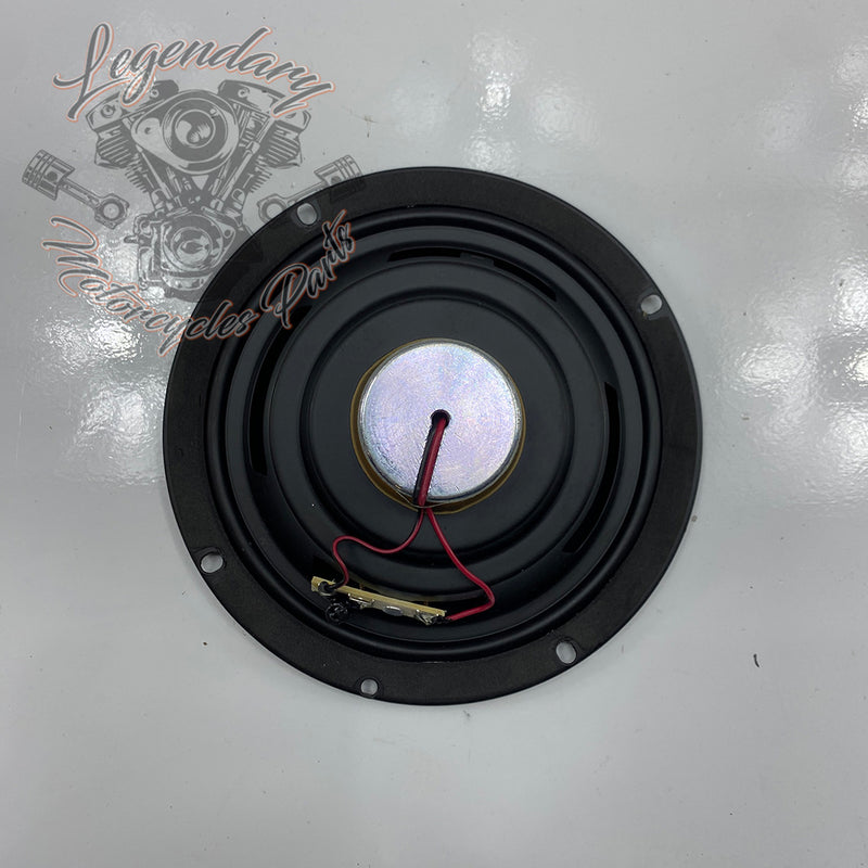 Speaker OEM 76000096