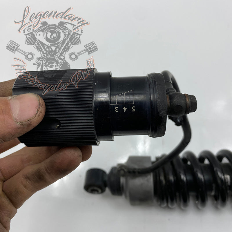 Shock Absorber OEM 54000112