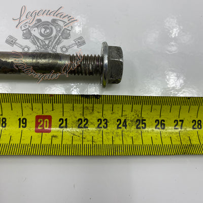 Front engine mount fixing screw OEM 10500087