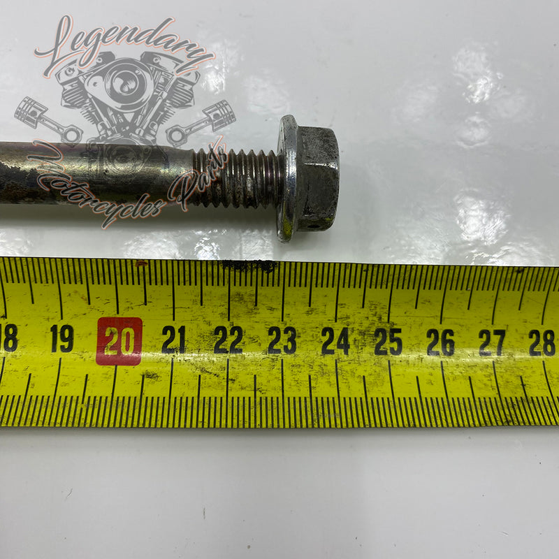 Front engine mount fixing screw OEM 10500087