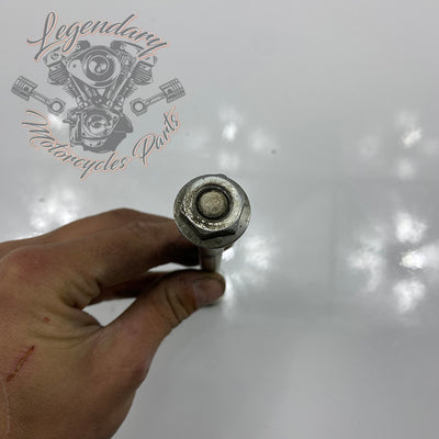 Front engine mount fixing screw OEM 10500087