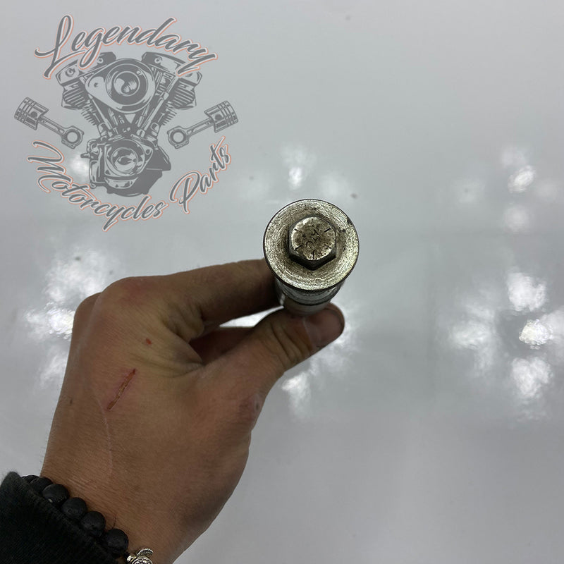 Front engine mount fixing screw OEM 10500087