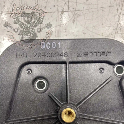 Élément filtrant OEM 29400248