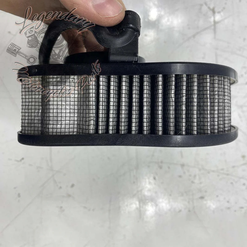 Élément filtrant OEM 29400248
