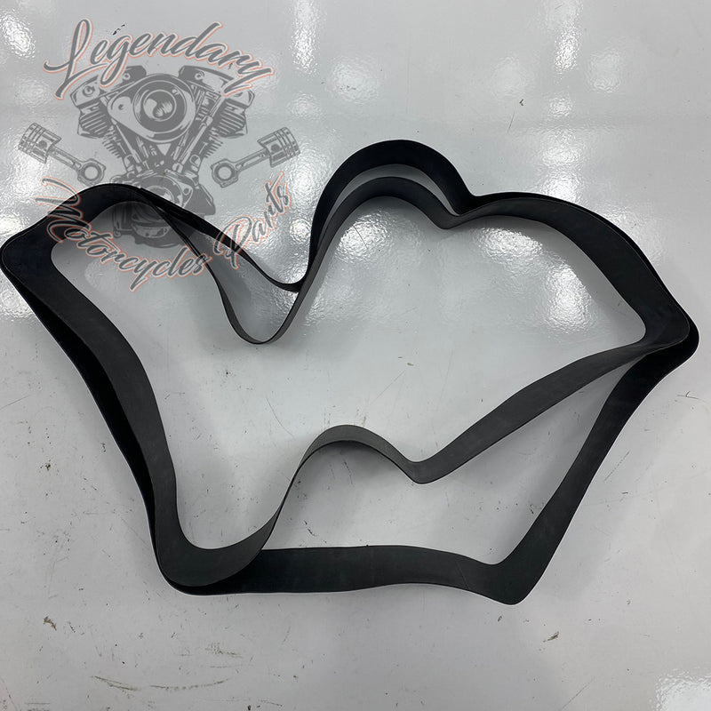 Junta da jante traseira 17" OEM 43101-06
