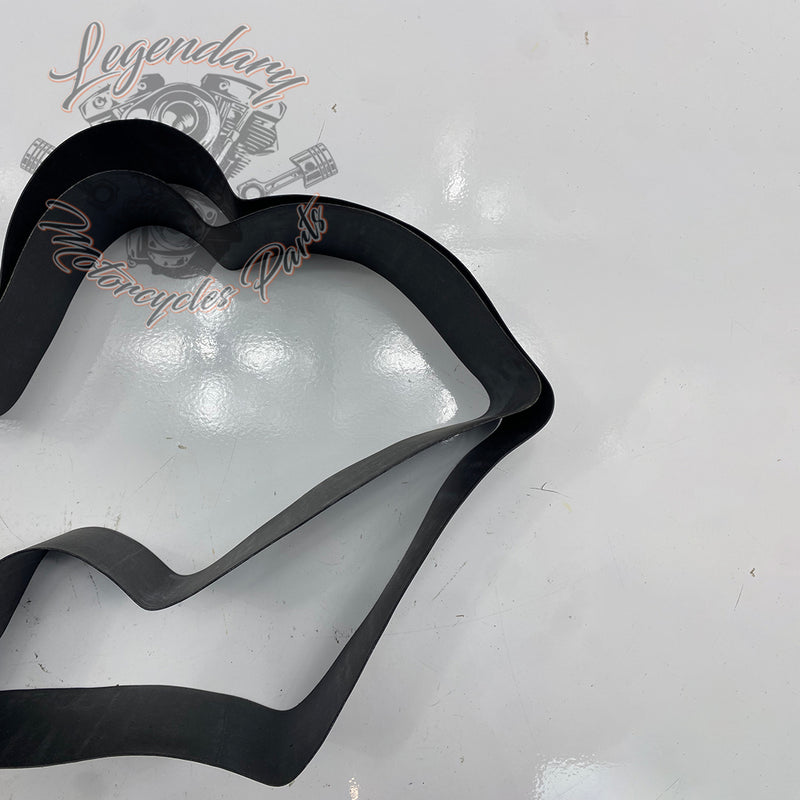 Junta da jante traseira 17" OEM 43101-06