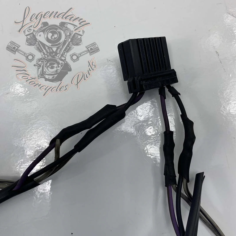 Intermitentes delanteros