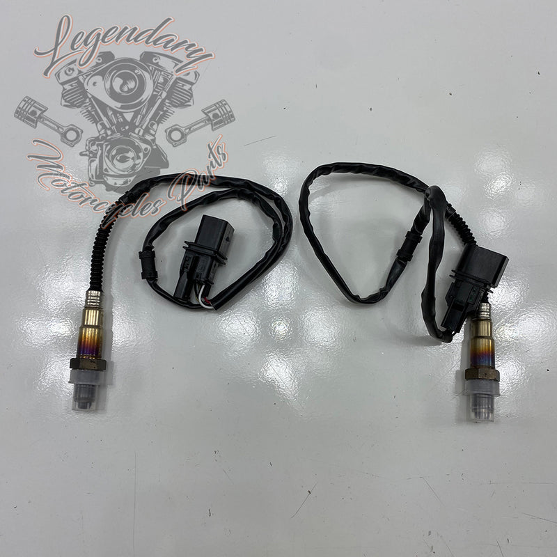 Injection ThunderMax Réf. 723241