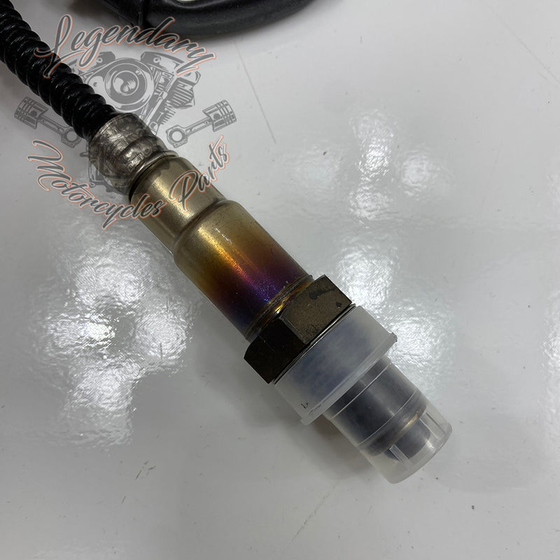 Injection ThunderMax Réf. 723241