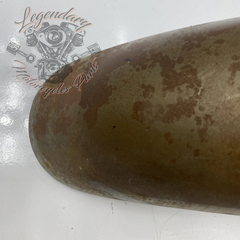 Raw front fender