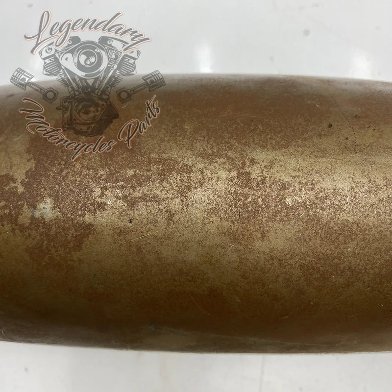 Raw front fender
