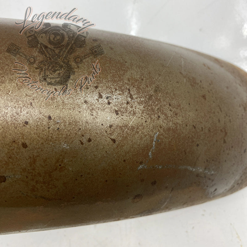 Raw front fender