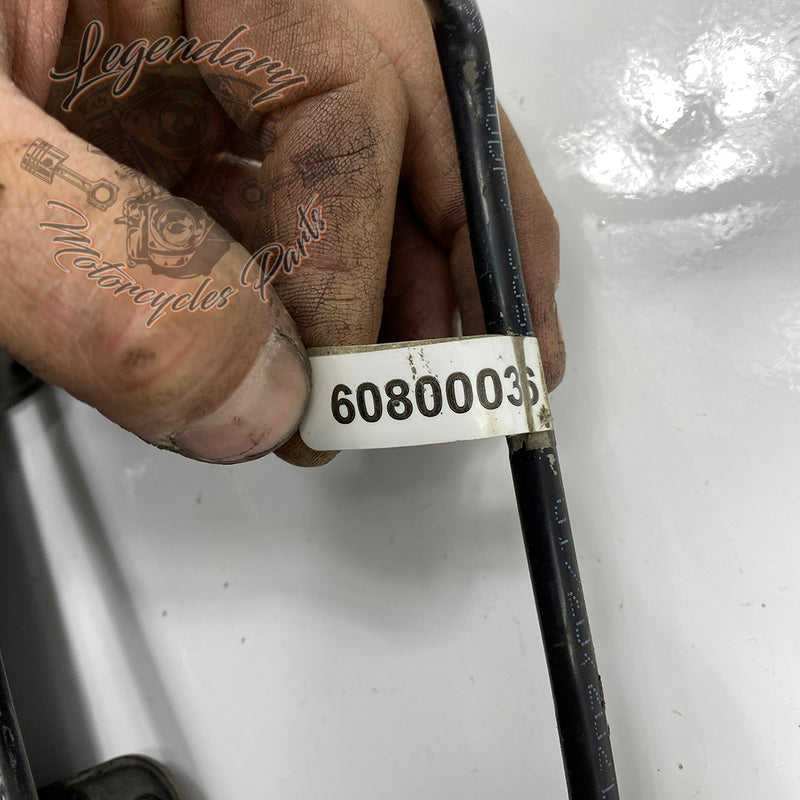 System odparowywania gazów OEM 27433-08