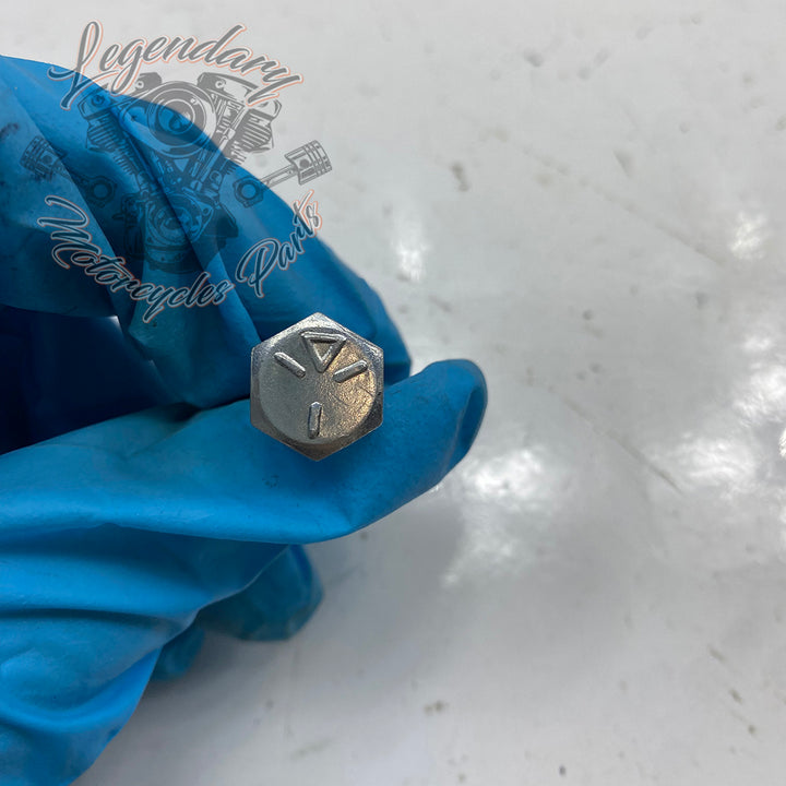 OEM 4017 Hex Head Screw – Legendary Parts