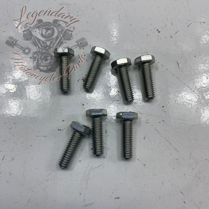 OEM 4017 Hex Head Screw – Legendary Parts