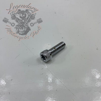 Parafuso Torx Réf. 238704