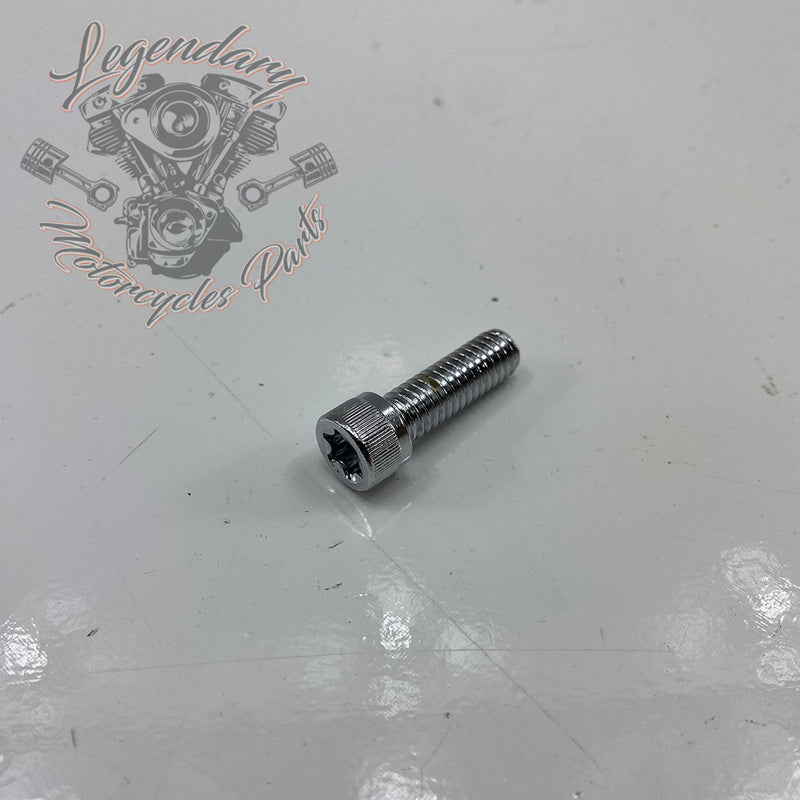 Parafuso Torx Réf. 238704