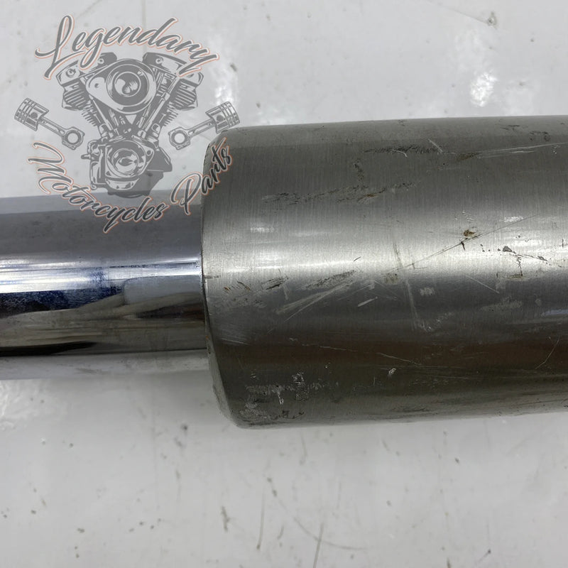 Left Fork Leg OEM 45916-00