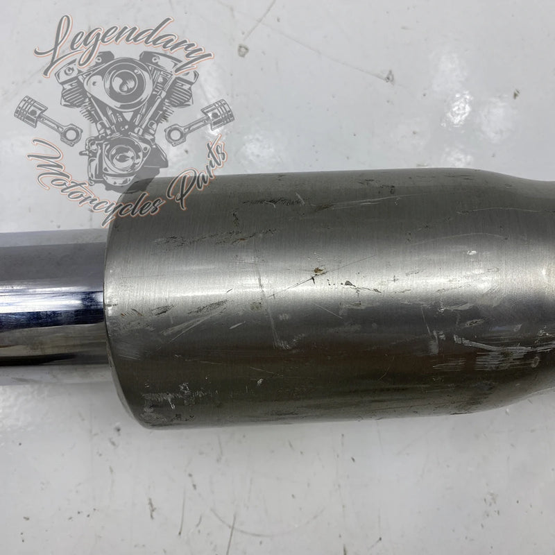 Left Fork Leg OEM 45916-00