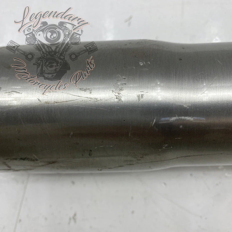 Left Fork Leg OEM 45916-00