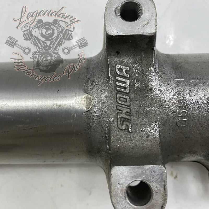 Left Fork Leg OEM 45916-00