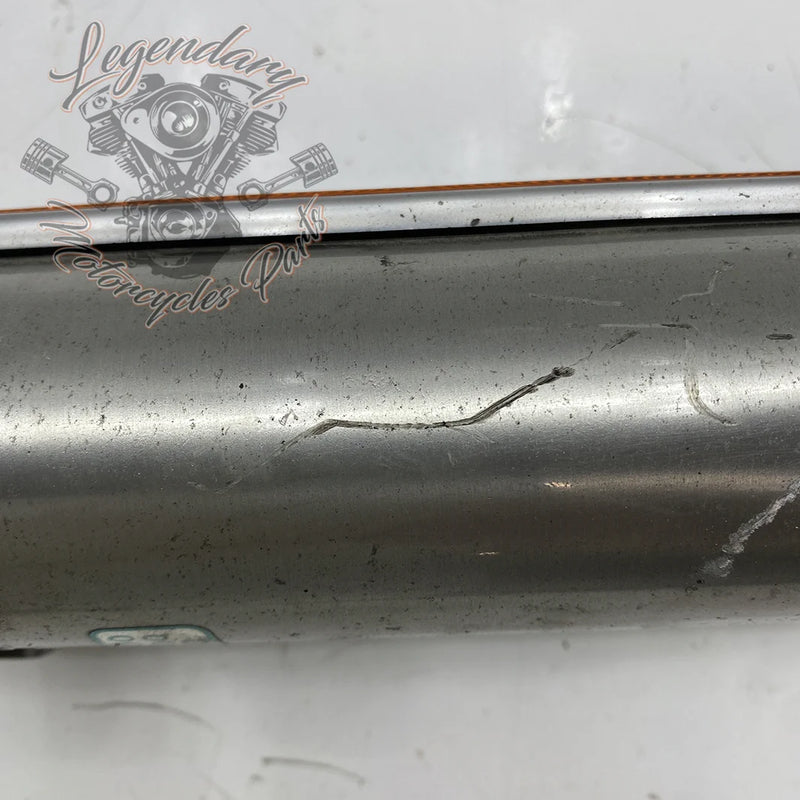 Left Fork Leg OEM 45916-00
