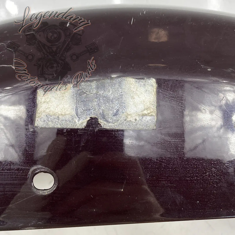 Parafango posteriore OEM 59847-10