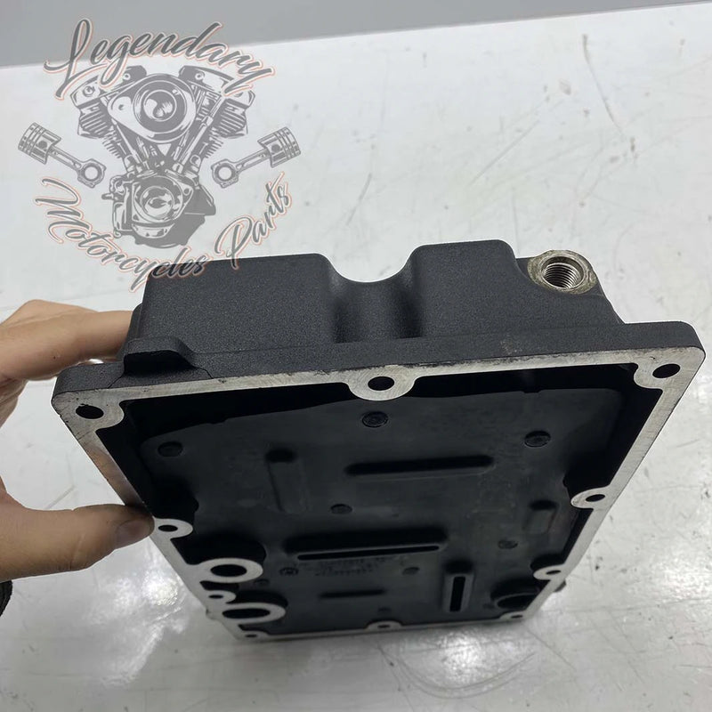 Carter inferiore OEM 24400208 (24400209)