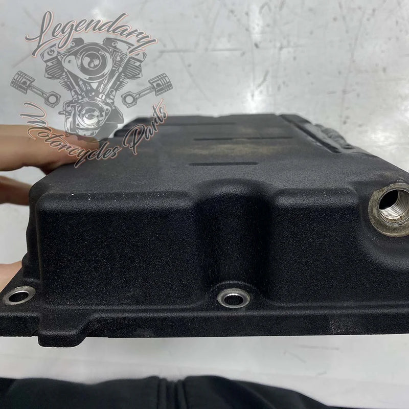 Carter inferiore OEM 24400208 (24400209)