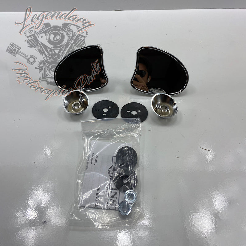 Specchio del cupolino OEM 56000098