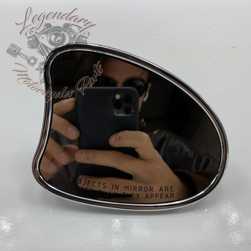Specchio del cupolino OEM 56000098