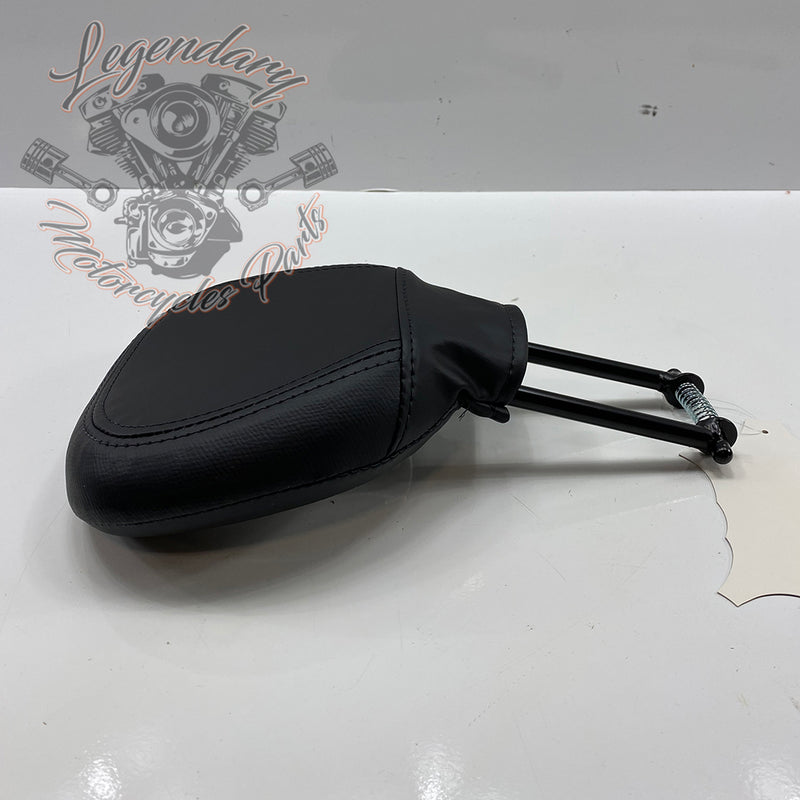 Expediente del piloto OEM 51839-10