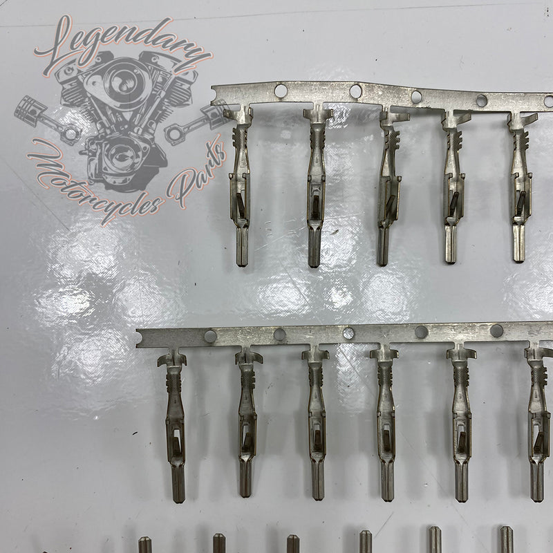 Male Stud Kit Réf. 701791
