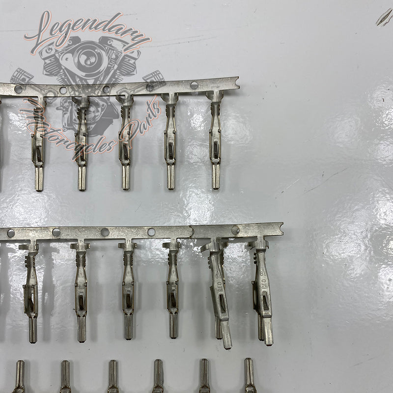 Male Stud Kit Réf. 701791