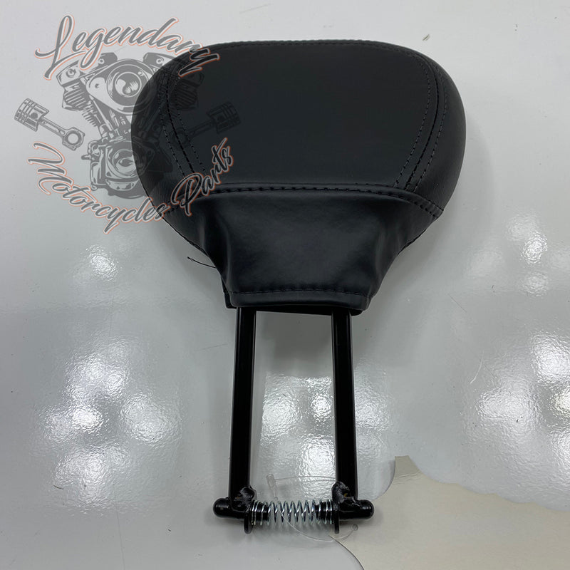 Expediente del piloto OEM 51839-10