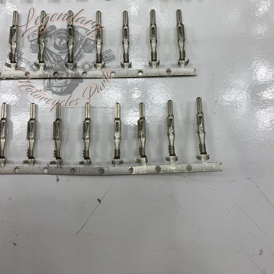 Male Stud Kit Réf. 701791
