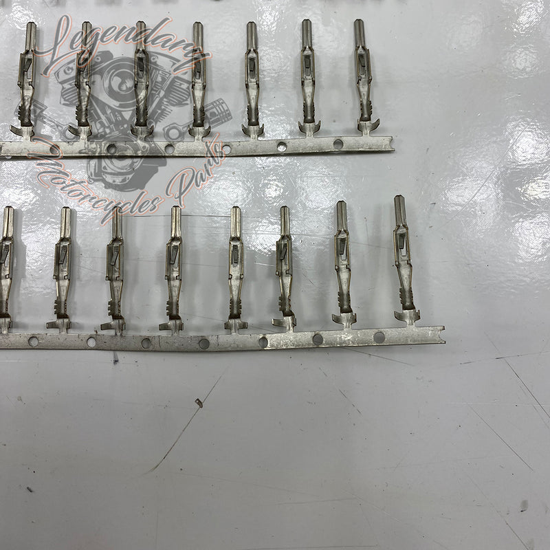 Male Stud Kit Réf. 701791