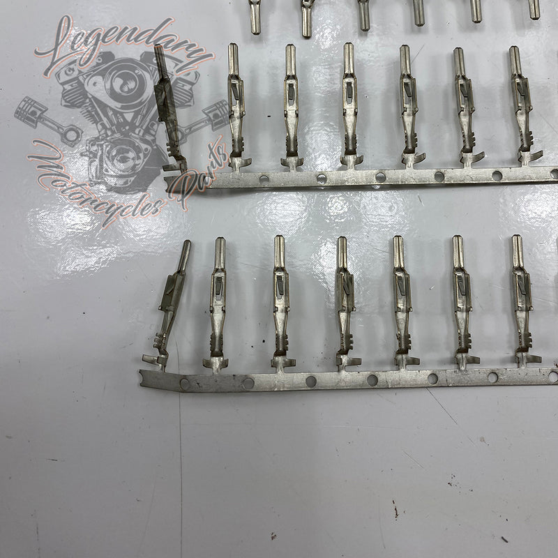 Male Stud Kit Réf. 701791