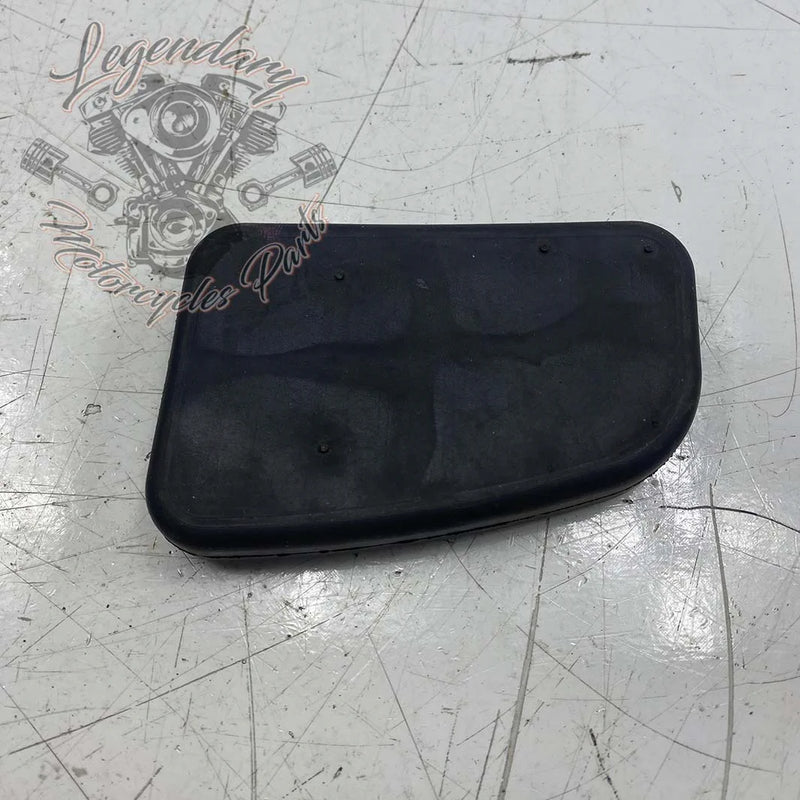 Rempedaalplaat OEM 50600224
