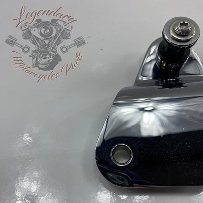 Fijación de sissy bar desmontables derecho OEM 54030-09