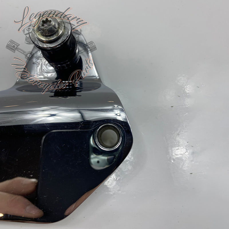 Fijación de sissy bar desmontables derecho OEM 54030-09