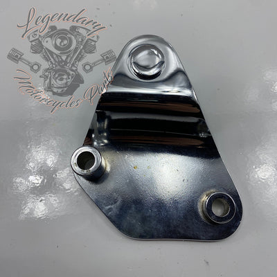 Fijación de sissy bar desmontables derecho OEM 54030-09