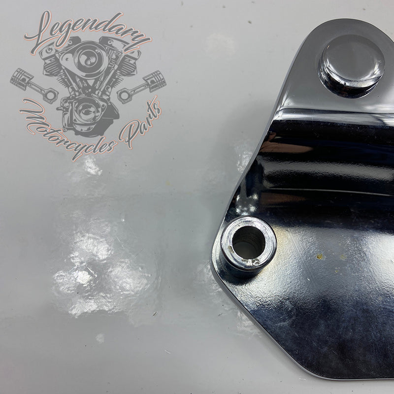 Fijación de sissy bar desmontables derecho OEM 54030-09