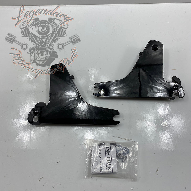 Plaques latérales réglables de sissy bar OEM 52300003
